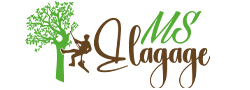 MS Élagage, élagueur à Nancy