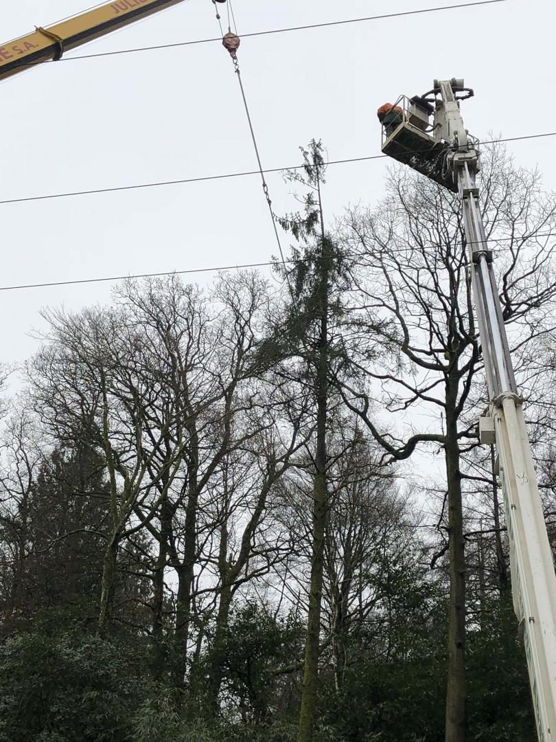 Nacelle déployée au-dessus d'un bois, près des câbles